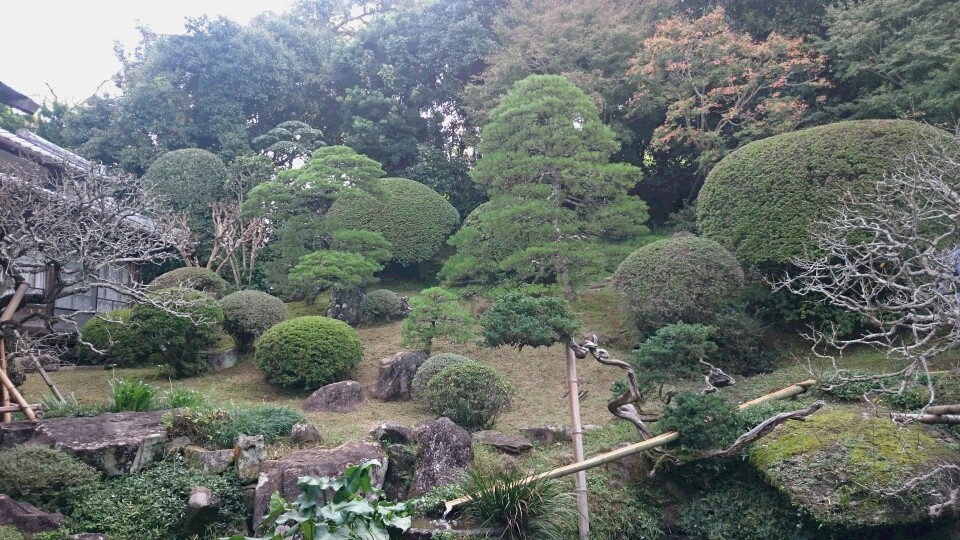 楽常寺 管理作業１｜広輝緑化